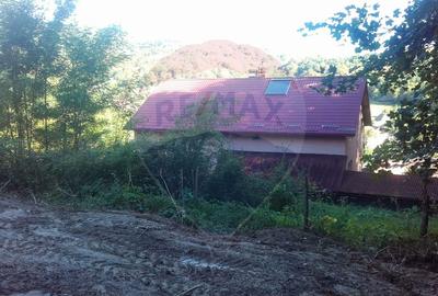 Teren Construcții intravilan de 96279 mp, în Bujoreni - 5