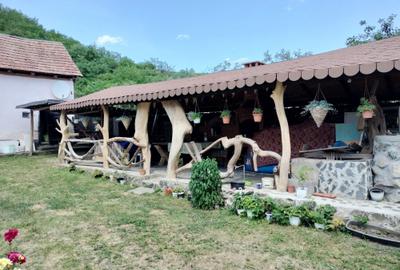 Casă cu 2 camere în Ciugud - 1