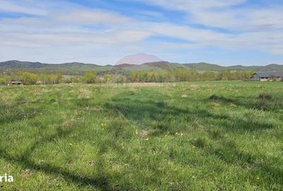 Spațiu comercial, în Mânăstirea Neamț - 9