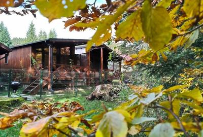 Vila noua de inchiriat in Busteni - 1