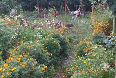 Casă cu Teren 900 Mp în Cornu - 5