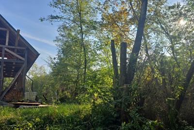 Oportunitate investie teren cu proiect 650 mp Cornu de Sus - 1