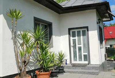 Casa de vanzare 5camere 2bai foi?or deschidere la sosea principala 24m - 9