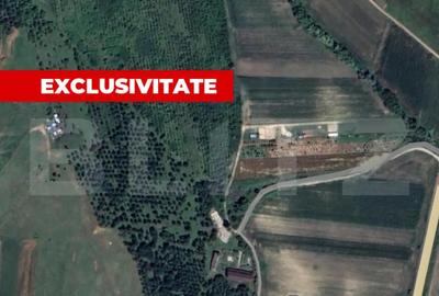 Teren de 5996 mp, în Teiu - 1