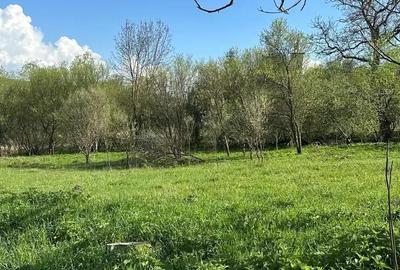 Teren în Bădești - 3