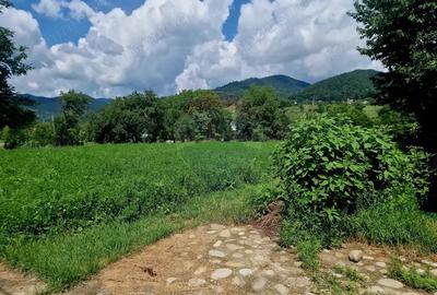 Teren intravilan 1000 mp Vii?oara, utilita?i - 16