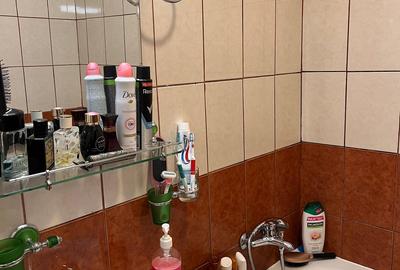 Colentina, sos. Andronache, Carrefour-Kaufland - 10