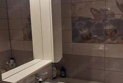 Apartament deosebit cu vedere panoramica, 2 camere, etaj 3 Vitrometan - 8