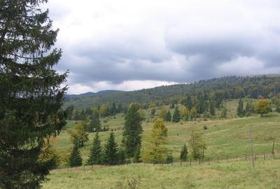 Predeal-Teren intravilan situat in Paraul Rece - 11