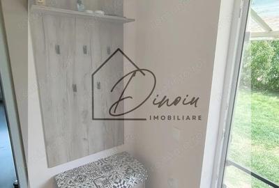 Casa Ciocanesti Cretu - 2 camere cu teren 2539 mp - Jud. Dambovita - 10