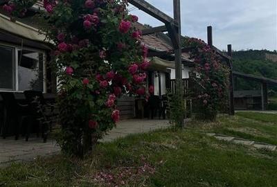 Transilvania Camping, domeniu de 14.400mp, Sanmarghita de Mures:2cladiri, aparta - 59