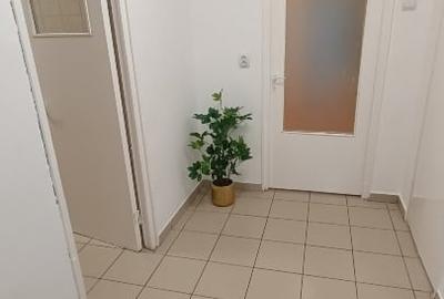 Apartament cu 2 camere semidecomandat în Gorjului - 10