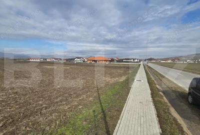 Teren de 14300 mp, în Ciugud - 4