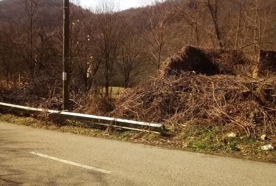 Teren în Băcâia - 2
