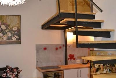 Studiou langa medicina cu scara interioara - 17