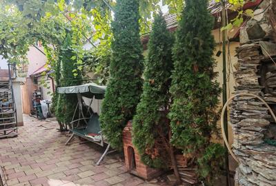 Inchiriere apartament 2 camere in Vila Km 5 - 9