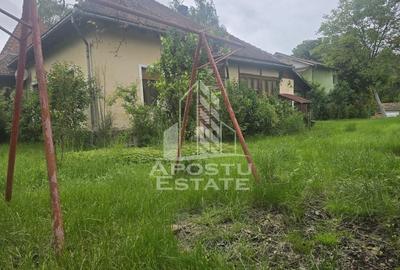 Proprietate cu potential turistic in Gurahont Proprietate cu potential turistic in Gurahont - 25