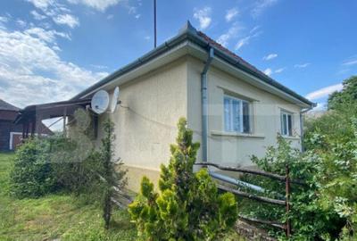 Casa de vanzare, 2 camere, 80 mp, zona Marius, langa Valea - 7