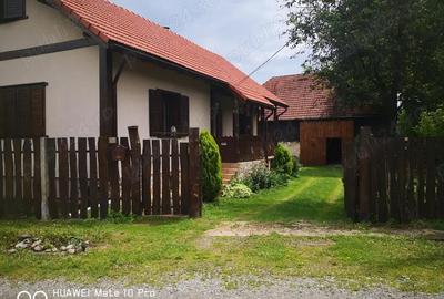 Casă cu 4 camere în Căpușu Mic - 12