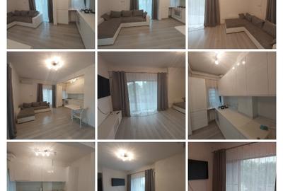 Apartament cu 2 camere semidecomandat în Herăstrău - 3