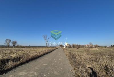 Teren Corbeanca - Tamasi - 1.163 mp - 5