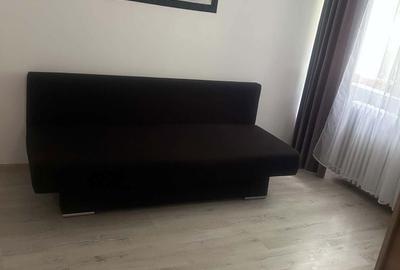 Apartament cu 2 camere decomandat în Valea Rosie - 3