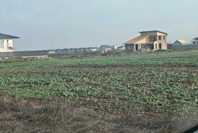 Spațiu comercial, în Vidra - 8