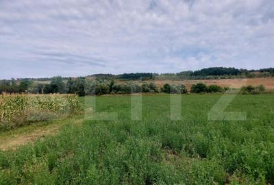 De vanzare teren Fundatura 27500mp - intravilan - 4