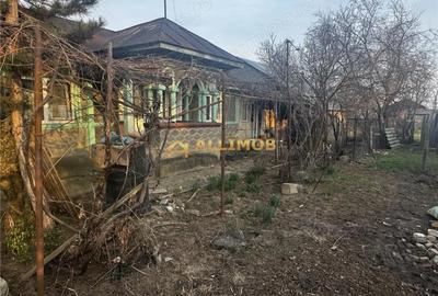 Casă cu Teren 758 Mp în Negoiești