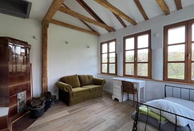 Casă individuală cu 10 camere cu Canalizare în Arefu - 32