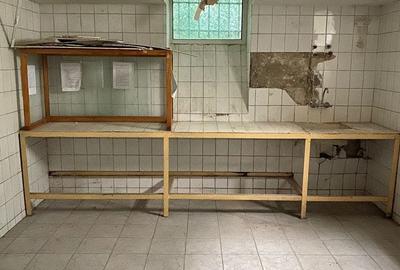 De Vanzare Vila Interbelica, 8-10 Camere, Romana - Zodiac - 26