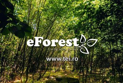 Terenuri de vanzare, zona verde, acces din DN1A, eForest - 2