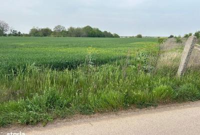 Spațiu comercial, în Dascălu - 3