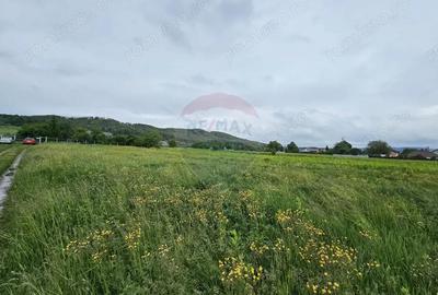 Teren de 1495 mp, în Dobreni - 5