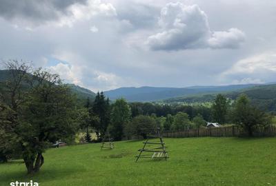 Teren de 2281 mp, în Valea Doftanei - 2