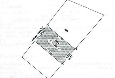 Teren Construcții intravilan de 5000 mp, în Central - 2