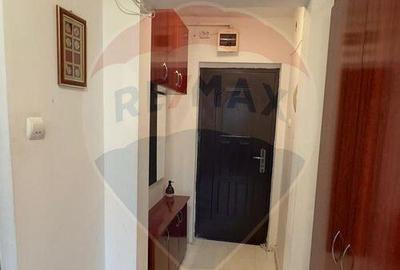 Apartament cu 2 camere de vanzare in zona Decebal-49500... Apartament cu 2 camere de vanzare in zona Decebal-49500... - 12