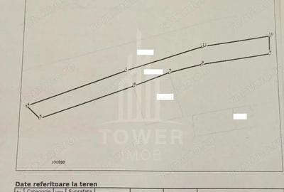 EXCLUSIVITATE! Teren la ?oseaua principala | Tocile - 8