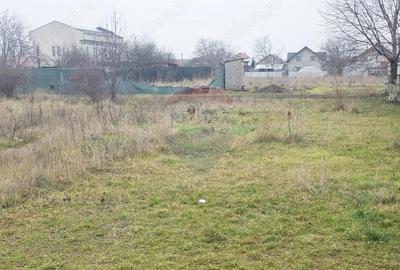 Teren 519mp Dumbrava Rosie / Strada CRANGULUI - 15