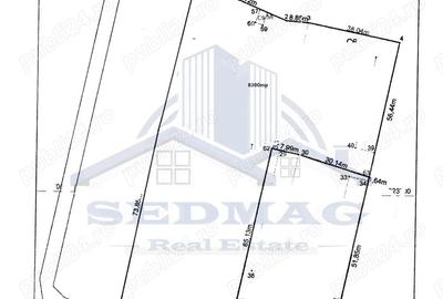 Theodor Pallady, teren 8300mp - 2