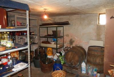 Calugareni-Branistari-casa 4 camere, teren 1965 mp, curent, put, libera,69900 € - 8