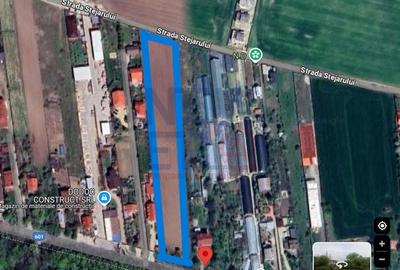 OPORTUNITATE -Teren de Vis la Marginea Padurii - 5000 mp in Ciorogarla - 3