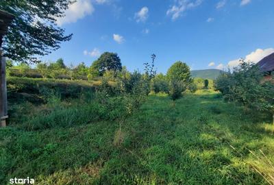 Spațiu comercial, în Albești - 2