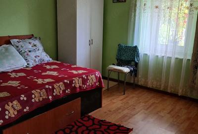 Casă cu 2 camere cu Teren 1200 Mp în Bucinișu - 2