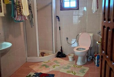 Casă cu 8 camere cu Teren 1500 Mp în Breaza de Sus - 3