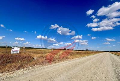 Teren 30.500 mp de vanzare in Livezi, Dolj - 8