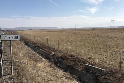 Teren de vanzare 20.000 mp pretabil benzinarie centura, direct de la proprietar! - 3