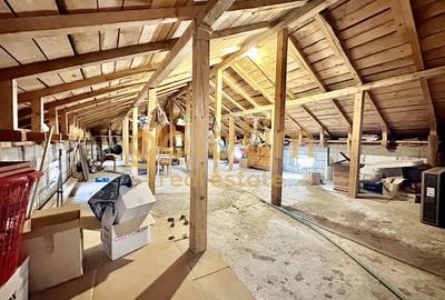 VILA INDIVIDUALA/TEREN 2000MP/VEGETATIE MATURA/CURTE AMENAJATA - 34