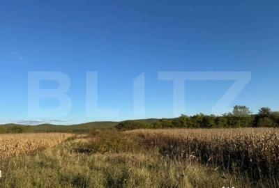 Teren de 1400 mp, în Brănișca - 1