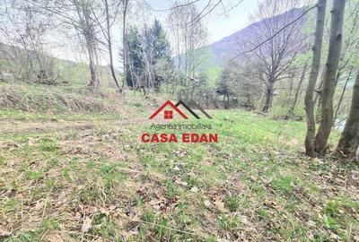 Teren de 1000 mp, în Teșila - 11